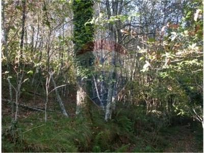 Vente Terrain Fafe  03 au Portugal