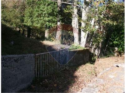 Annonce Vente Terrain Fafe