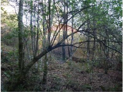 Acheter Terrain 11100 m2 Fafe