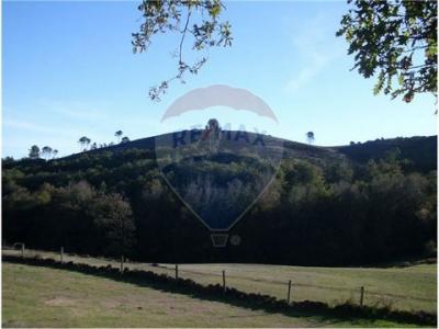 Annonce Vente Terrain Fafe