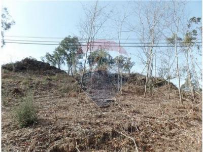 Annonce Vente Terrain Braga