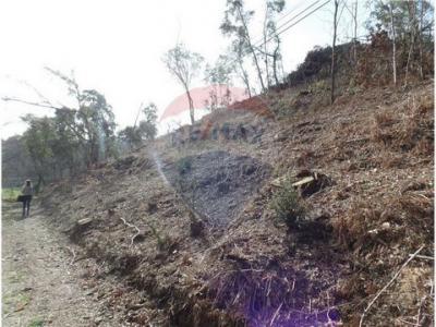 Acheter Terrain 7800 m2 Braga