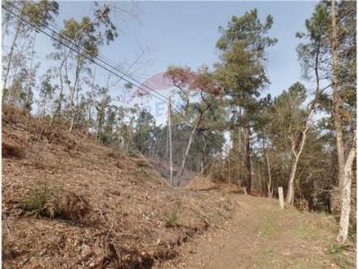 Acheter Terrain Braga r�gion BRAGA