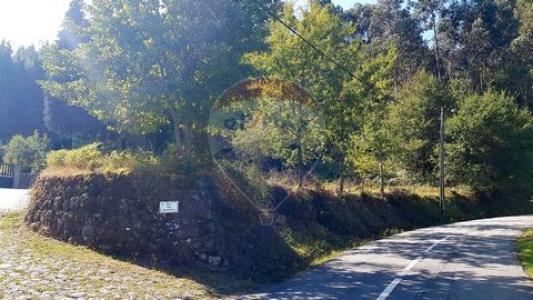 Acheter Terrain 10200 m2 Vieira-do-minho