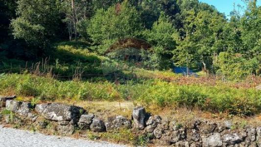 Acheter Terrain Vieira-do-minho r�gion BRAGA
