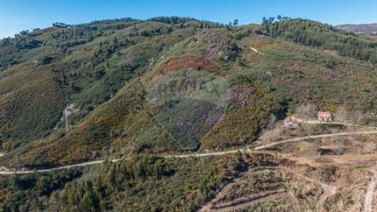 Acheter Terrain 32767 m2 Celorico-de-basto