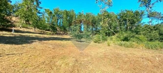 Acheter Terrain Arcos-de-valdevez r�gion VIANA-DO-CASTELO