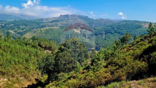 Annonce Vente Terrain Vieira-do-minho