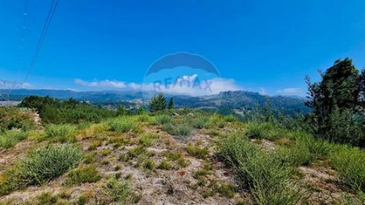 Acheter Terrain Vieira-do-minho