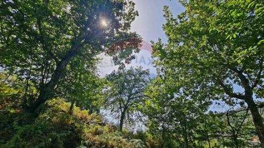 Acheter Terrain Vieira-do-minho