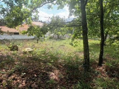 Acheter Terrain 3950 m2 Arcos-de-valdevez