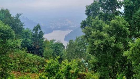 Acheter Terrain Vieira-do-minho r�gion BRAGA