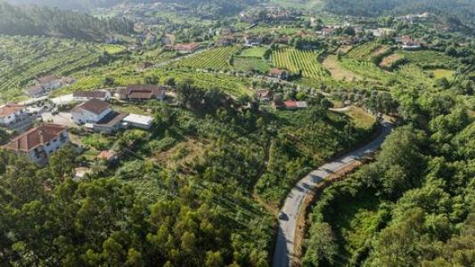 Acheter Terrain Celorico-de-basto