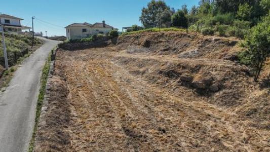 Acheter Terrain Celorico-de-basto r�gion BRAGA
