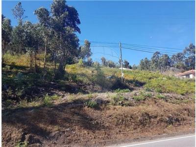 Annonce Vente Terrain Povoa-de-lanhoso
