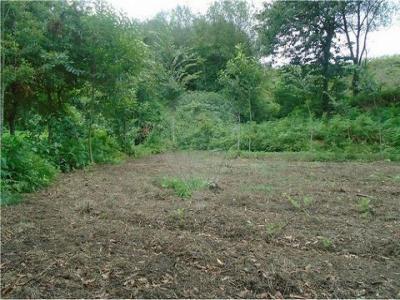 Acheter Terrain 2070 m2 Pacos-de-ferreira