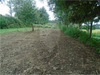 Acheter Terrain Pacos-de-ferreira r�gion PORTO