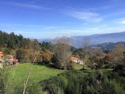 Acheter Terrain Celorico-de-basto r�gion BRAGA