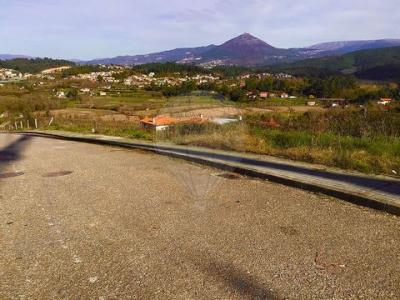 Acheter Terrain 619 m2 Celorico-de-basto