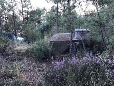 Acheter Terrain 19000 m2 Celorico-de-basto