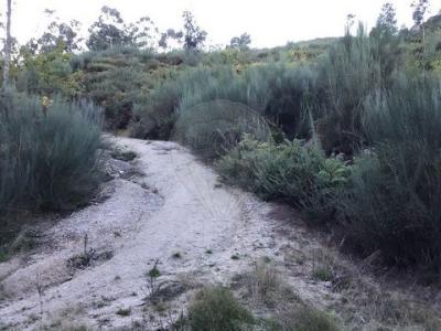 Acheter Terrain Celorico-de-basto r�gion BRAGA