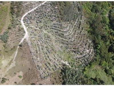 Annonce Vente Terrain Vieira-do-minho