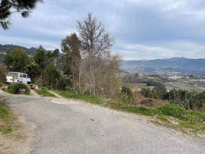Acheter Terrain 2697 m2 Cabeceiras-de-basto