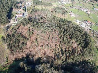 Vente Terrain Fafe  03 au Portugal