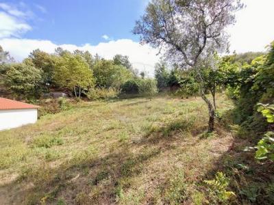 Acheter Terrain Cabeceiras-de-basto r�gion BRAGA