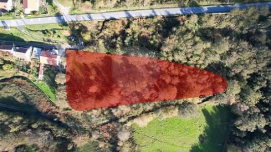 Acheter Terrain Vieira-do-minho