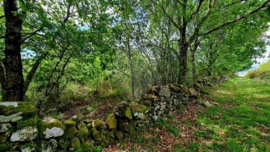 Acheter Terrain Vieira-do-minho r�gion BRAGA