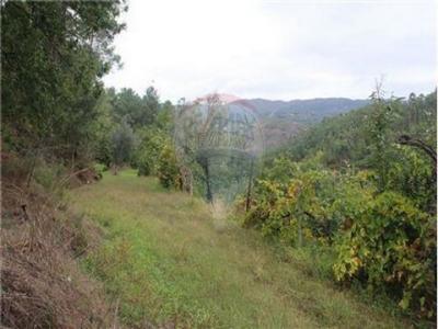 Acheter Terrain 4920 m2 Terras-de-bouro