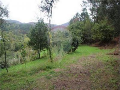 Acheter Terrain Terras-de-bouro r�gion BRAGA