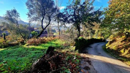 Acheter Terrain Vieira-do-minho