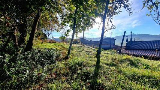 Acheter Terrain Vieira-do-minho r�gion BRAGA