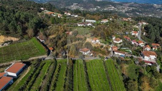 Acheter Terrain Celorico-de-basto r�gion BRAGA