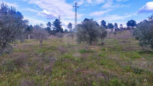 Vente Terrain Mirandela  04 au Portugal