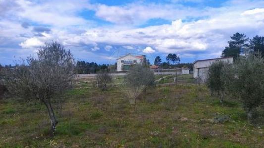 Acheter Terrain Mirandela r�gion BRAGANCA