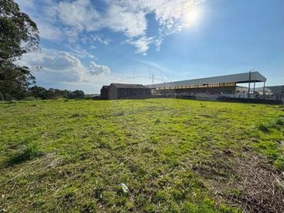 Annonce Vente Terrain Trofa