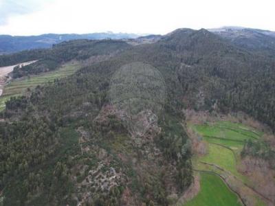 Annonce Vente Terrain Cabeceiras-de-basto