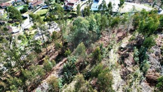 Acheter Terrain Vieira-do-minho r�gion BRAGA