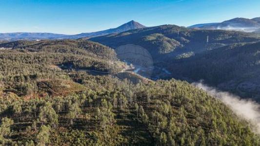 Annonce Vente Terrain Celorico-de-basto