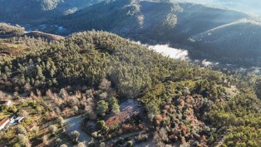 Acheter Terrain Celorico-de-basto r�gion BRAGA