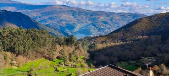 Acheter Maison 35 m2 Terras-de-bouro