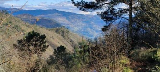 Annonce Vente Terrain Terras-de-bouro