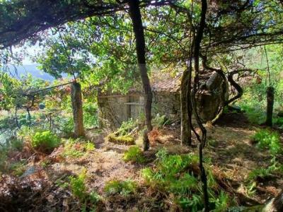 Vente Terrain Arcos-de-valdevez  16 au Portugal