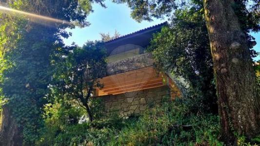 Acheter Maison Vieira-do-minho r�gion BRAGA