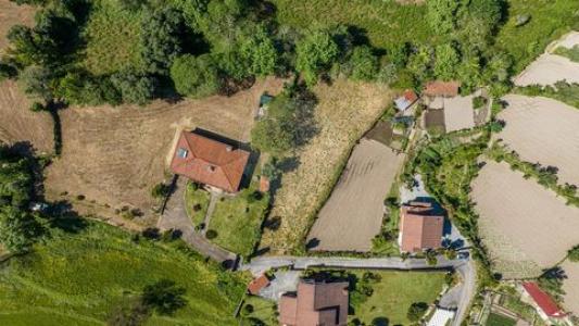 Acheter Terrain Terras-de-bouro