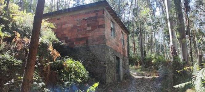 Annonce Vente Terrain Terras-de-bouro