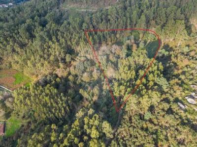 Acheter Terrain Vila-verde r�gion COIMBRA